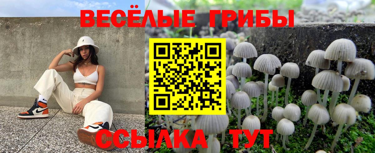 Заволжье  Псилоцибиновые грибы Psilocybine cubensis  Вход с VPN  Псилоцибиновые грибы мухоморы 